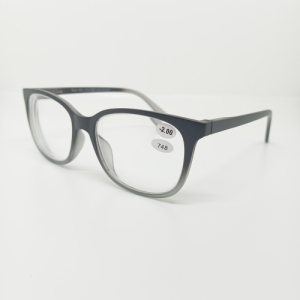 Готовые очки Read WDL p748