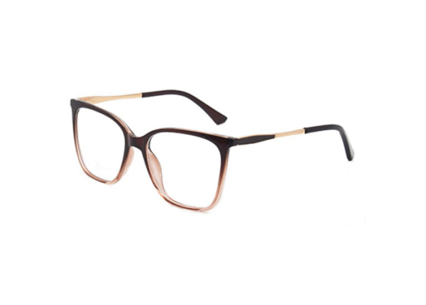 Оправа LIFESTYLE 1003