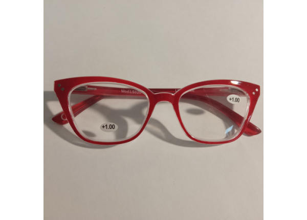 Готовые очки LIFESTYLE LS020