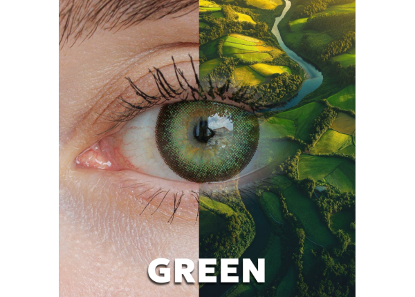 WDL COLOR MONTHLY GREEN