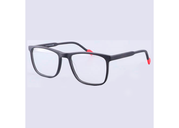 Оправа SONATA 1002