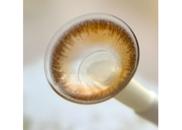 WDL COLOR MONTHLY HONEY