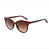 Ted baker solene 1539 Солнцезащитные очки