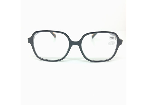Готовые очки Read WDL p339
