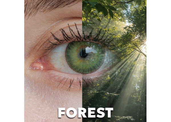 WDL COLOR MONTHLY FOREST