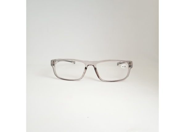 Готовые очки Read WDL p307