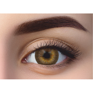 WDL COLOR MONTHLY BROWN