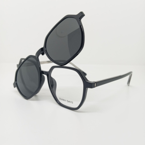 Оправа SUNNY DAYS (with clip) 2503