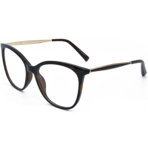 Оправа LIFESTYLE 1013