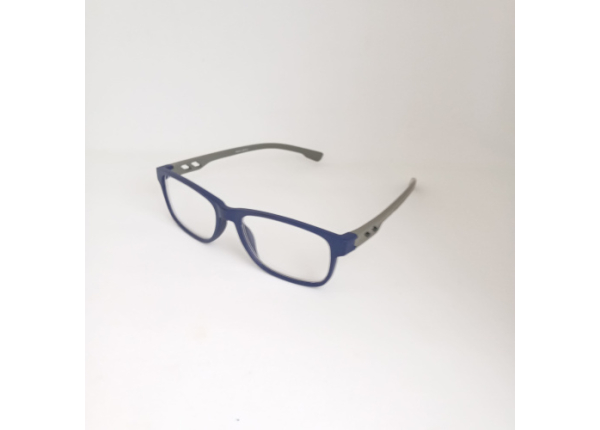 Готовые очки LIFESTYLE LS012