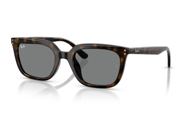 RAY BAN 0RB4439D 710/87 54 Солнцезащитные очки