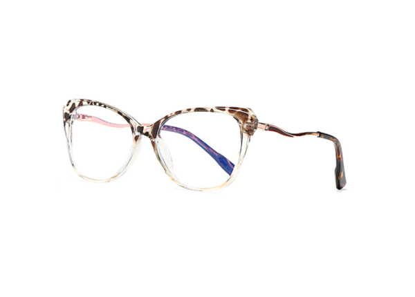 Оправа LIFESTYLE SH2208