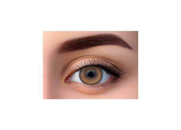 WDL COLOR MONTHLY HONEY