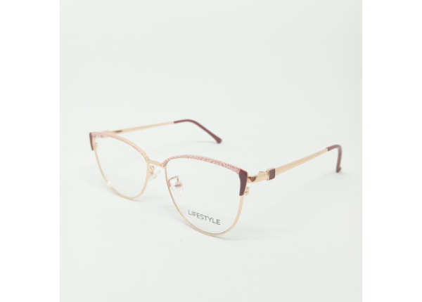 Оправа LIFESTYLE G95-173