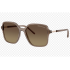 ARMANI 0AX4163S 8396T5 53 Солнцезащитные очки
