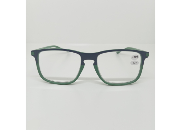 Готовые очки Read WDL p741