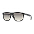 Ray Ban 0RB4147 Солнцезащитные очки