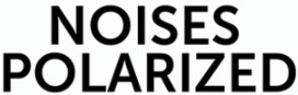 Noises Polarized
