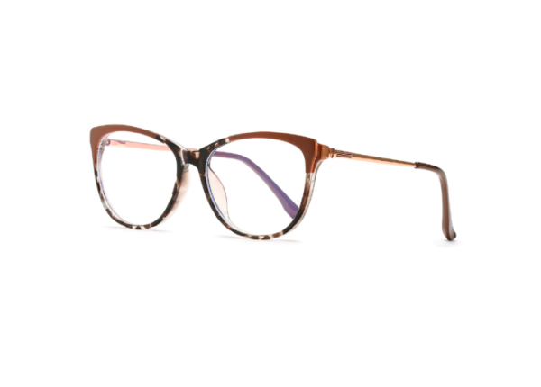 Оправа LIFESTYLE SH2203