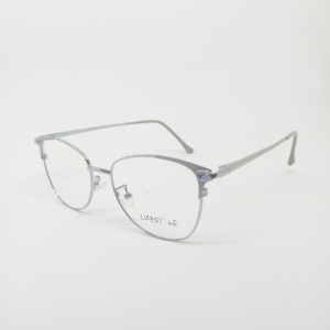 Оправа LIFESTYLE G95-273