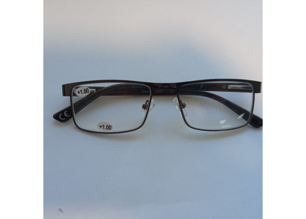 Готовые очки LIFESTYLE LF101