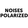 Noises Polarized