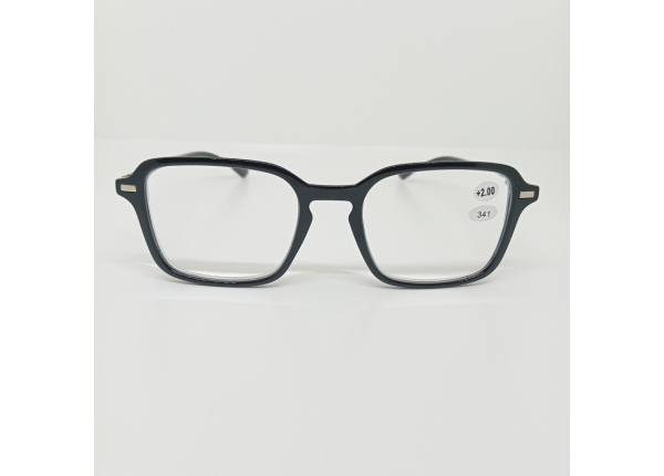 Готовые очки Read WDL p341