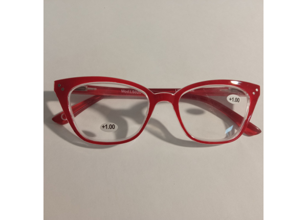 Готовые очки LIFESTYLE LS020