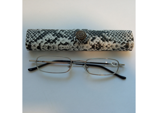 Готовые очки Read WDL p404 +3