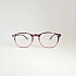 Готовые очки Read WDL p702