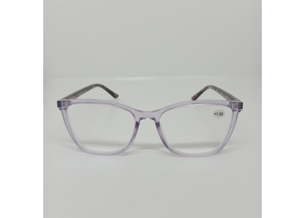 Готовые очки Read WDL p737