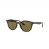 RAY BAN 0RB4305 710/73 53 Солнцезащитные очки