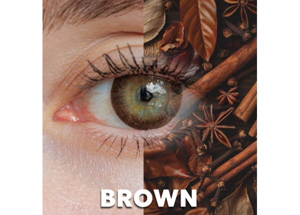 WDL COLOR MONTHLY BROWN