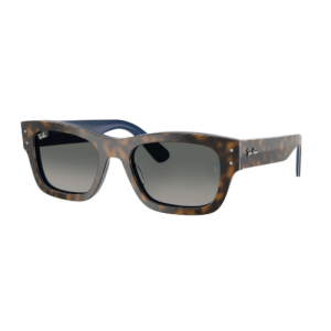 RAY BAN 0RB7683S 140171 55 Солнцезащитные очки