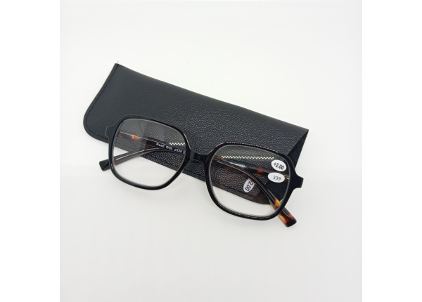 Готовые очки Read WDL p339