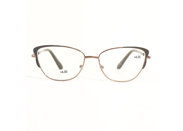 Готовые очки LIFESTYLE LF102