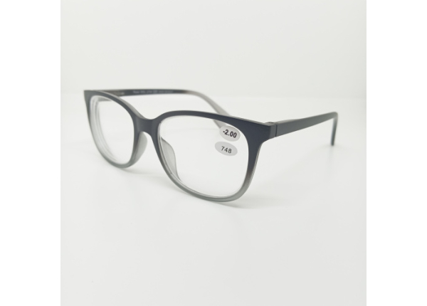 Готовые очки Read WDL p748