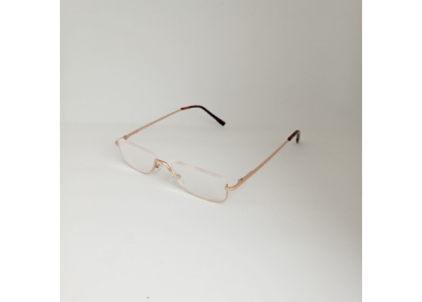 Готовые очки Read WDL p309