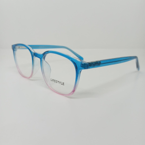 Оправа LIFESTYLE 2210