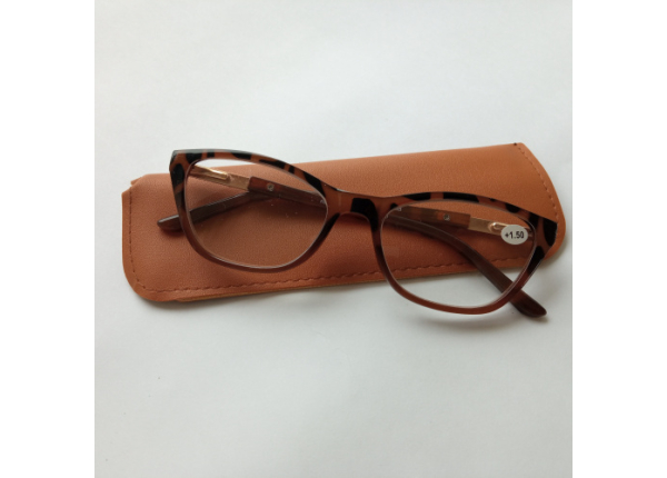 Готовые очки Read WDL p303