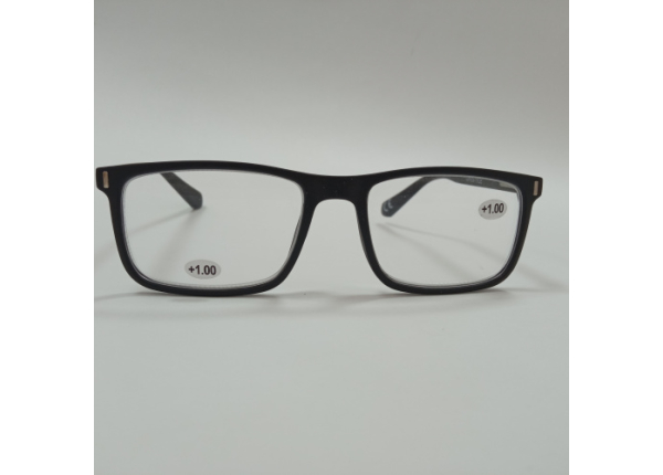 Готовые очки LIFESTYLE LS002