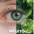 WDL COLOR MONTHLY MOJITO