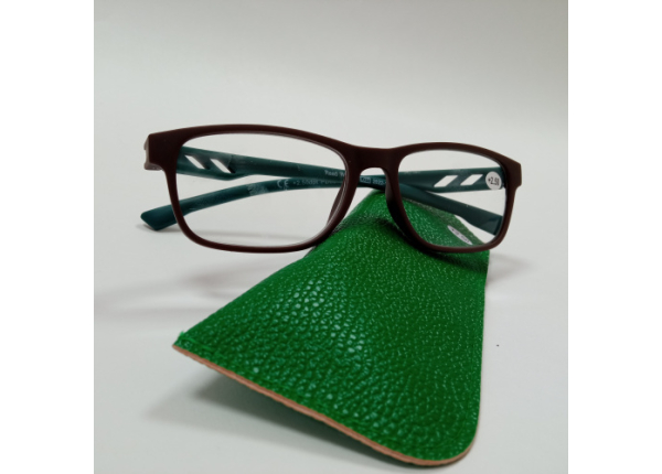 Готовые очки Read WDL p313