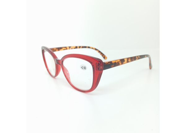 Очки корригирующие SINNETA S004