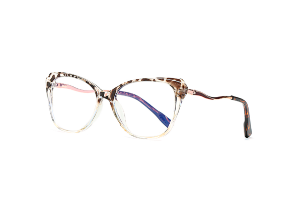 Оправа LIFESTYLE SH2208