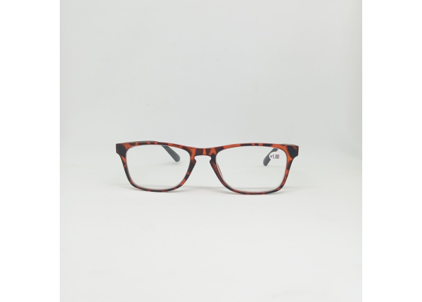 Готовые очки Read WDL p732