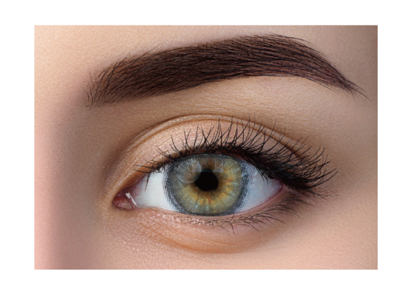 WDL COLOR MONTHLY GRAY