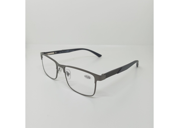 Готовые очки Read WDL p738