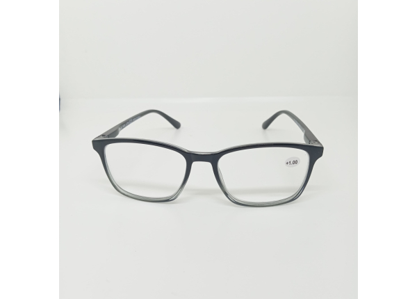 Готовые очки Read WDL p739