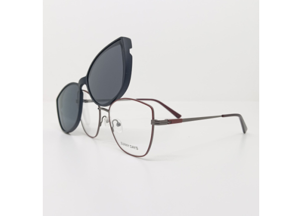 Оправа SUNNY DAYS (with clip) DT30040